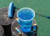 Blue Jolly Rancher Lotus